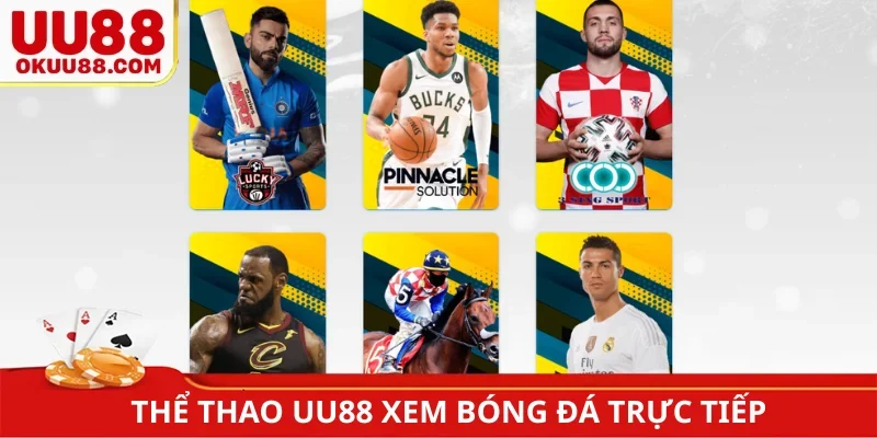 Thể thao UU88 xem bóng đá trực tiếp