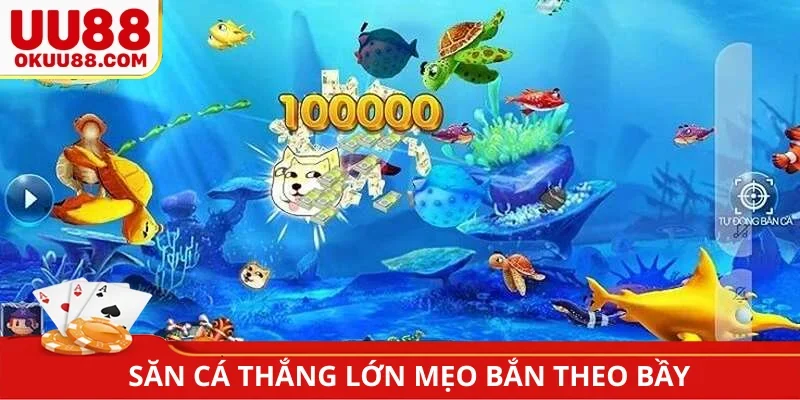 Săn cá thắng lớn mẹo bắn theo bầy